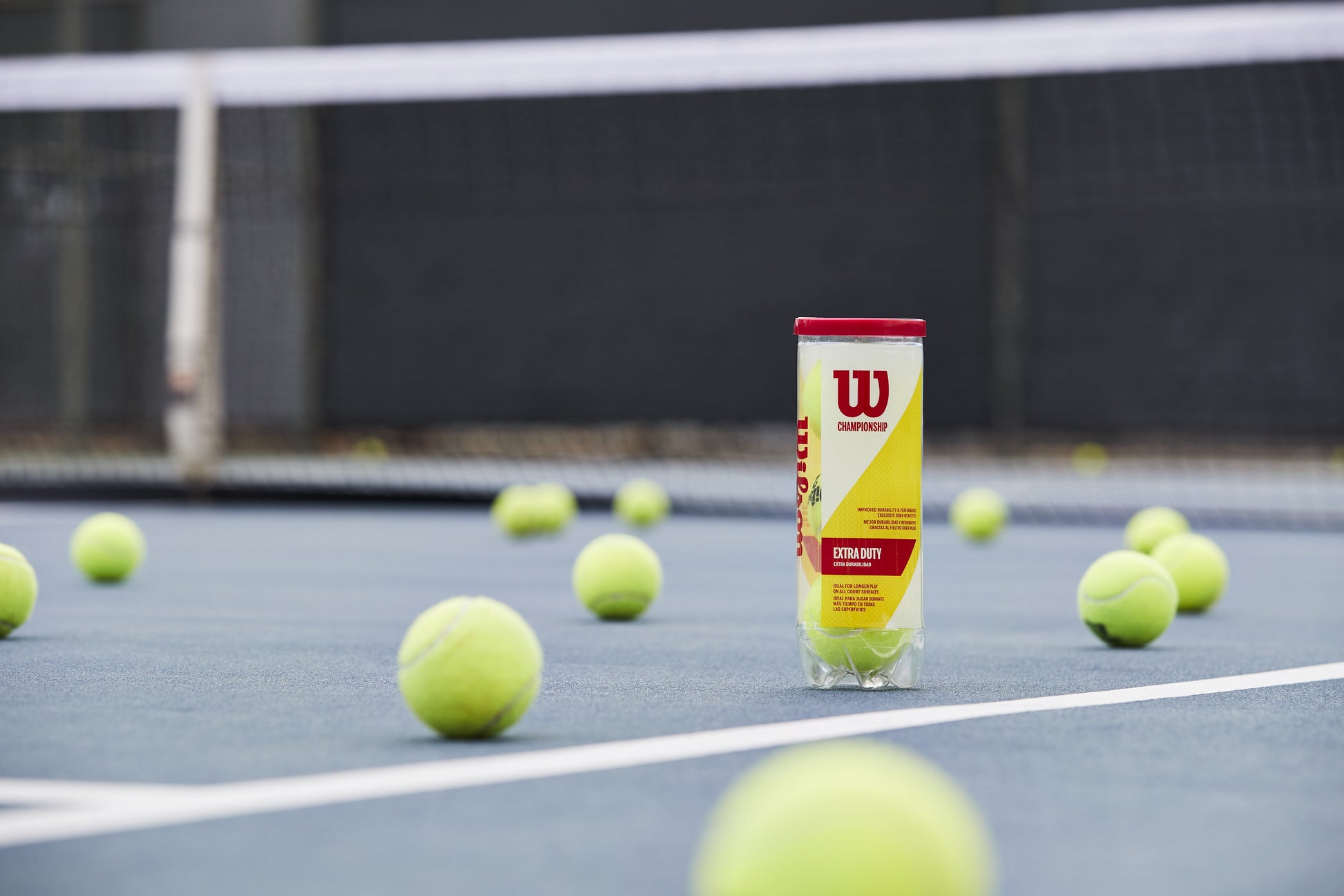 Championship Extra-Duty Tennis Balls (1 Can, 3 Balls)