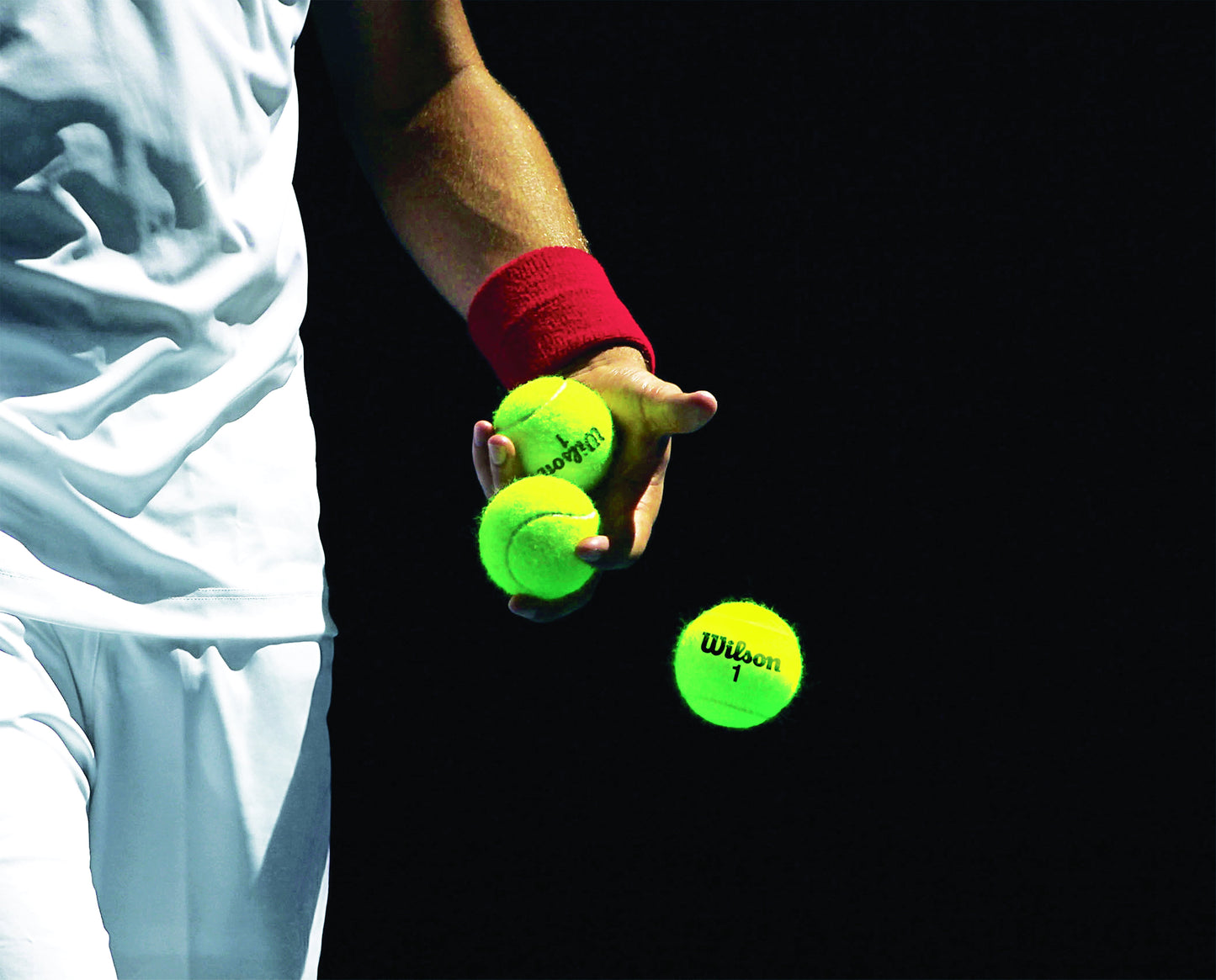 Championship Extra-Duty Tennis Balls (1 Can, 3 Balls)