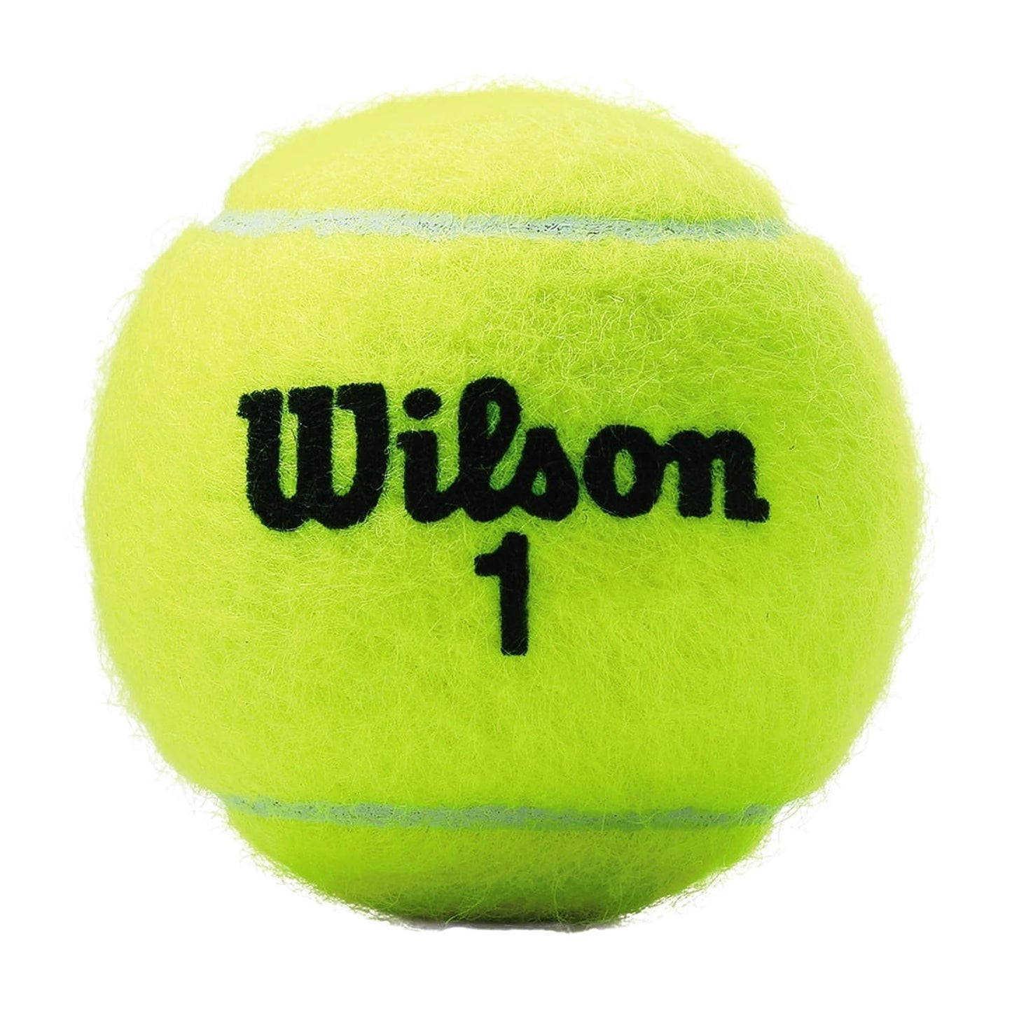 Championship Extra-Duty Tennis Balls (1 Can, 3 Balls)